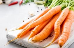 Apport en vitamine A, anti-cholestérol : la carotte est excellente pour la santé, mais pourquoi certains sont privés de ses bienfaits? 