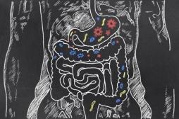 Qu’est-ce qu’une fistule gastro-intestinale ?  