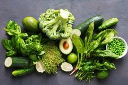 Les aliments pour bébés, faussement riches en légumes verts