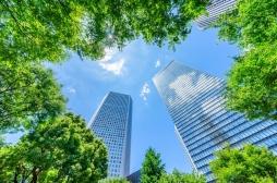 Mort précoce : planter des arbres en ville réduit les risques d’un tiers