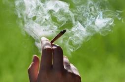 Cannabis : 12% des consommateurs réguliers sont dépendants