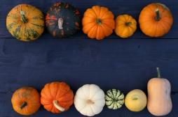 Attention, certaines courges sont non comestibles et toxiques ! 