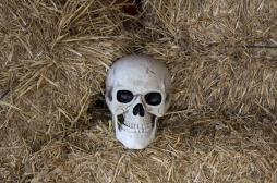 Comment notre cerveau nous empêche de concevoir notre mort mais pas celle des autres 