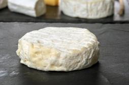 E.coli : rappel de fromages Saint-Marcellin et Saint Félicien après la contamination de 13 enfants