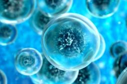 Cancer : des chercheurs reproduisent un mécanisme à l'oeuvre dans la division cellulaire