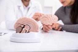 Parkinson : pourquoi le cerveau des femmes serait-il mieux protégé ?
