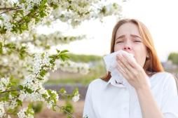 Allergies saisonnières : le changement climatique augmenterait la durée des symptômes