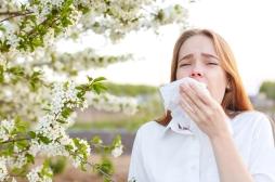 Allergies : la saison des graminées 