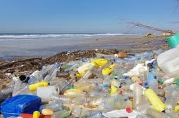Pollution : les humains ingèrent des dizaines de milliers de particules de plastique chaque année