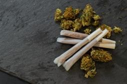 Cannabis : combien de temps durent vraiment les effets ?