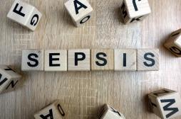 Sepsis : quel rôle joue le microbiote intestinal ? 