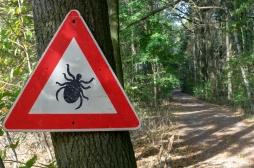 Maladie de Lyme : aux Etats-Unis, les tiques ont-elles été utilisées comme arme biologique ? 