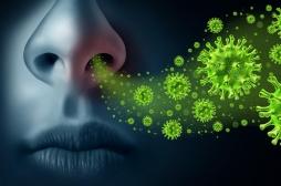 Maladies respiratoires : voyage dans les confins du microbiote nasal