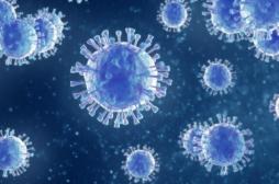 Un nouveau virus pourrait causer de graves infections pulmonaires