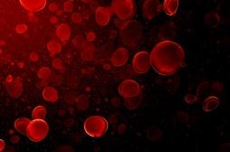 Cancer : des chercheurs découvrent un nouveau composant du sang 