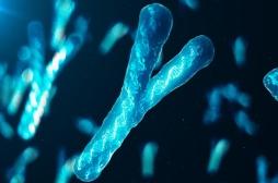 Insuffisance cardiaque : un gène sur le chromosome Y augmente le risque 