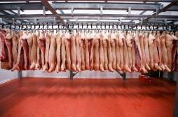 Coronavirus : 69 personnes contaminées dans un abattoir breton 