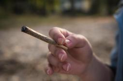 Cannabis : une consommation précoce favorise le déclin cognitif