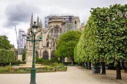 Intoxication au plomb : quels dangers pour la santé ?