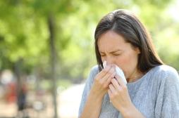 Allergies : les pollens 