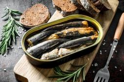 La sardine, un petit poisson aux grands bienfaits ? 