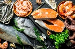 Allergie au poisson : comment évaluer le risque ? 