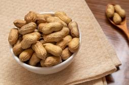 Caillot sanguin : manger des cacahuètes est bénéfique pour la santé vasculaire