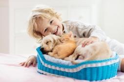 Allergie alimentaire : les enfants qui vivent avec un chien ou un chat en ont moins