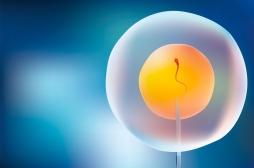 Y a-t-il un lien entre FIV et risque de cancer ? 