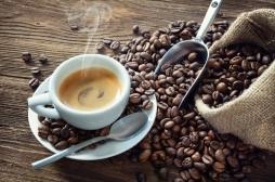 Une consommation abusive de café réduit le volume du cerveau et augmente le risque de démence
