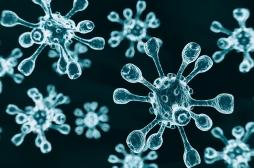 Coronavirus : le virus aurait une origine double 