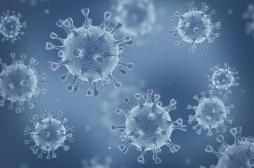 Covid-19 : le variant sud-africain immuniserait contre les autres versions du virus
