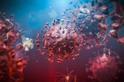 Un nouveau « leurre », arme fatale contre les coronavirus ?
