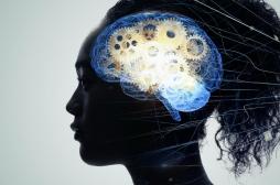 Notre cerveau met deux heures pour apprendre un nouveau mot