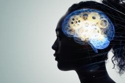 Les souvenirs traumatisants peuvent recâbler le cerveau 