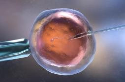 FIV : cette technique évaluant les embryons ne serait pas pertinente