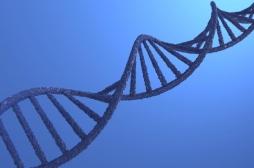 Covid-19 : 15% des formes graves seraient génétiques