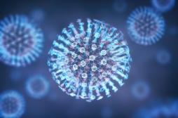 Variole de l’Alaska : un nouveau virus détecté aux États-Unis