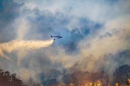 La fumée des feux de forêt participe à la propagation de maladies infectieuses