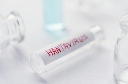 Quarantaines, isolements : ce que prévoit le nouveau décret sur l’hantavirus