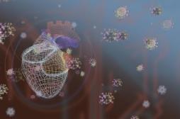 La Covid-19 fait vieillir les vaisseaux sanguins… surtout des femmes