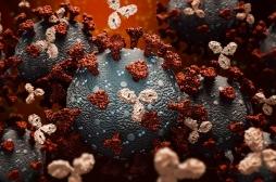 Covid-19 : la deuxième infection entraînerait des formes plus sévères