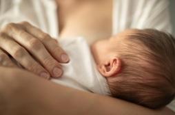 Ce probiotique aide à restaurer le microbiote intestinal des nourrissons