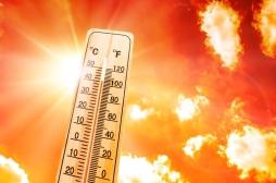 Les chaleurs extrêmes peuvent accélérer le déclin cognitif