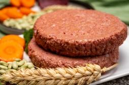 La viande végétale manque de qualité nutritive, avertissent les chercheurs