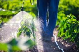 Pesticides, PFAS, cadmium... 