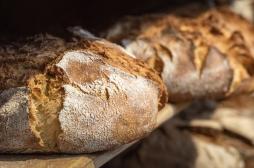Obésité : ce pain riche en fibres aiderait à perdre du poids  