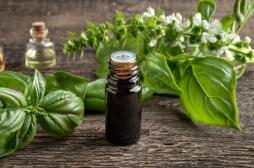 Basilic, fenouil, estragon : faut-il se méfier de certaines huiles essentielles ?