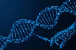 Angiœdème héréditaire : un traitement par édition de l’ADN soigne la maladie génétique