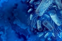 Aurait-on trouvé la parade à l’antibiorésistance ?